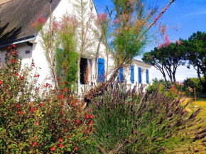 Villa avec Jardin à 250 m de l'océan WIFI